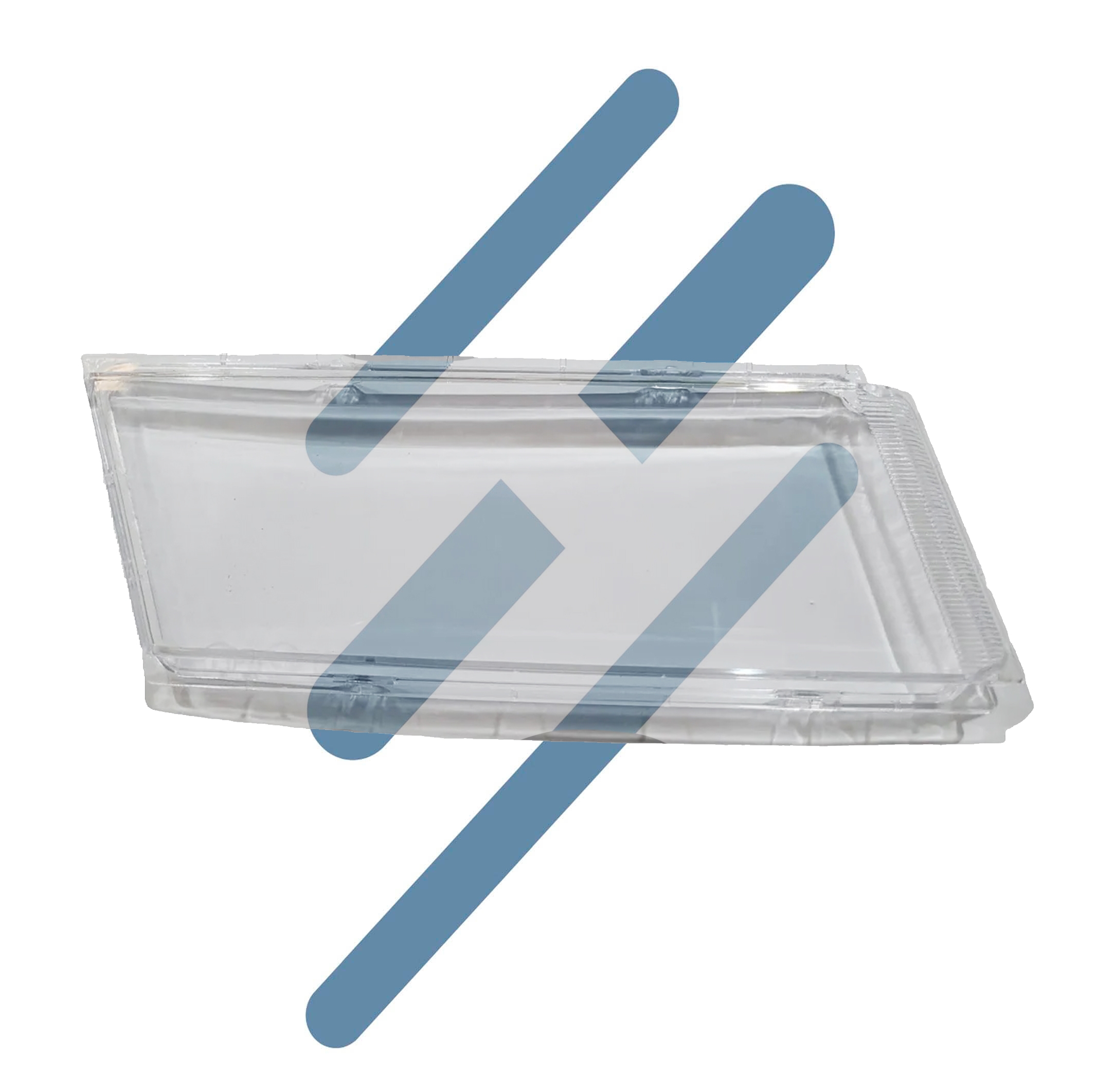 Lente Farol LD Auxiliar COMPATÍVEL NTG (2552718)